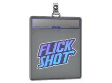Sticker Slab | Flick Shotter
