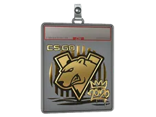 Sticker Slab | Virtus.pro (Gold) | 2020 RMR