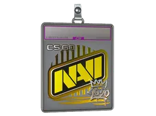 Sticker Slab | Natus Vincere (Foil) | 2020 RMR