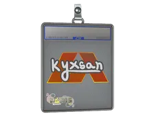 Skin's image