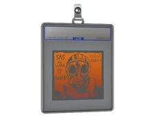 Skin's image