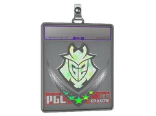 Sticker Slab | G2 Esports (Holo) | Krakow 2017