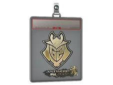 Sticker Slab | G2 Esports (Gold) | Antwerp 2022