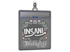 Sticker Slab | insani | Budapest 2025