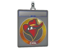 Sticker Slab | Renegades | Katowice 2019