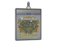 Sticker Slab | FlameZ (Champion) | Budapest 2025