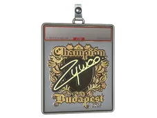 Sticker Slab | ZywOo (Gold, Champion) | Budapest 2025