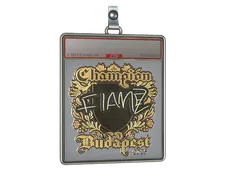 Sticker Slab | FlameZ (Gold, Champion) | Budapest 2025