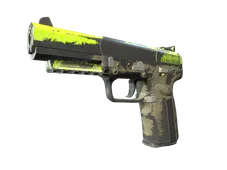Skin's image