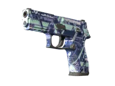 P250 | Digital Architect (Well-Worn)