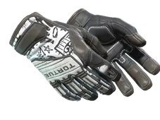 Skin's image