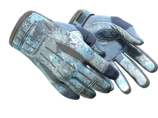 Skin's image