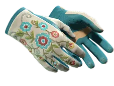 Skin's image