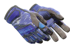 Skin's image