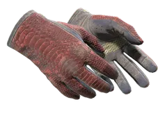 Skin's image