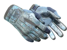 Skin's image