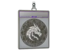 Sticker Slab | Team Spirit (Foil) | Cologne 2026