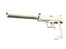 Souvenir USP-S | Whiteout (Field-Tested)