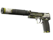 Souvenir USP-S | Torque (Field-Tested)