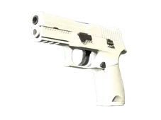 Souvenir P250 | Whiteout (Minimal Wear)