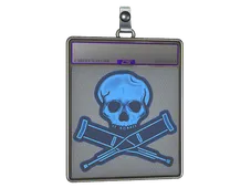 Sticker Slab | Radiograph (Holo)