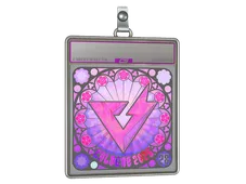 Sticker Slab | THUNDERdOWNUNDER (Holo, Ranked) | Cologne 2026