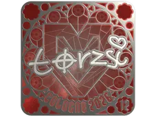 Sticker | torzsi (Foil, Ranked) | Cologne 2026