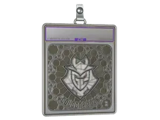 Sticker Slab | G2 esports (Foil, Ranked) | Cologne 2026