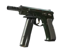 Skin's image