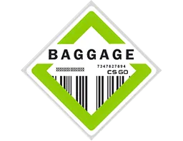 The Baggage Collection