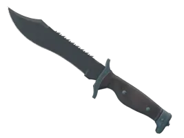 ★ Bowie Knife | Night (Factory New)