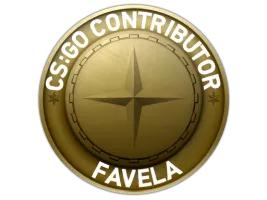 Favela Map Coin