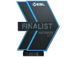 Finalist at EMS One Katowice 2014