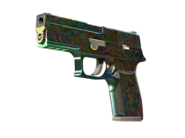 P250 | Visions (Factory New)