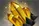 Newbee