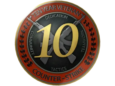 10 Year Veteran Coin