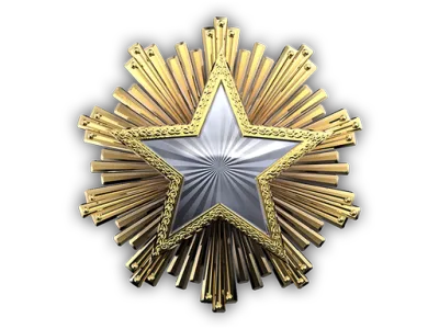 2016 Service Medal