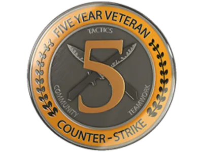 5 Year Veteran Coin