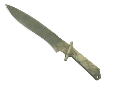 ★ Classic Knife | Safari Mesh (Factory New)