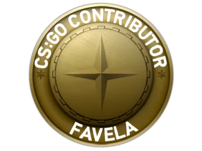 Favela Map Coin