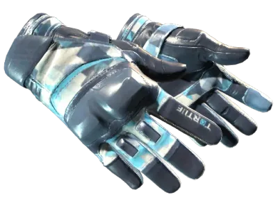 ★ Moto Gloves | Cool Mint (Factory New)