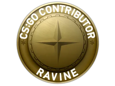Ravine Map Coin