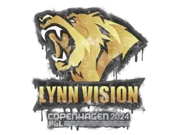 Sealed Graffiti | Lynn Vision | Copenhagen 2024