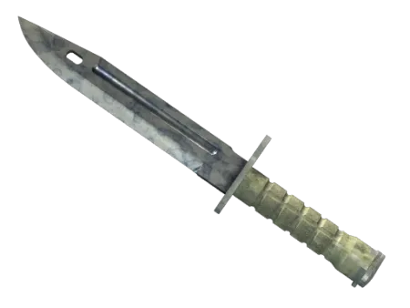 ★ Bayonet | Stained (Well-Worn)