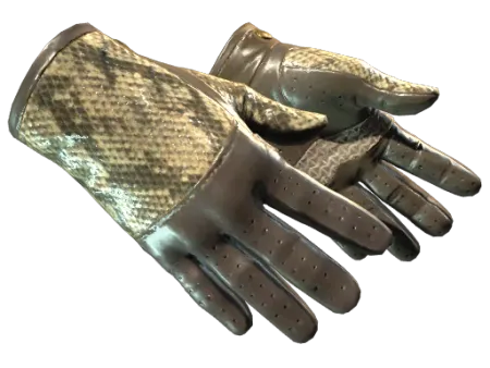 ★ Driver Gloves | Diamondback (Minimal Wear)