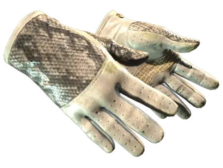 ★ Driver Gloves | King Snake (Well-Worn)