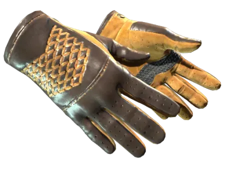 ★ Driver Gloves | Overtake (Factory New)