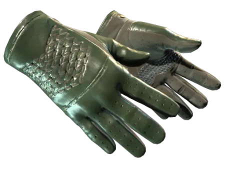 ★ Driver Gloves | Racing Green (Minimal Wear)