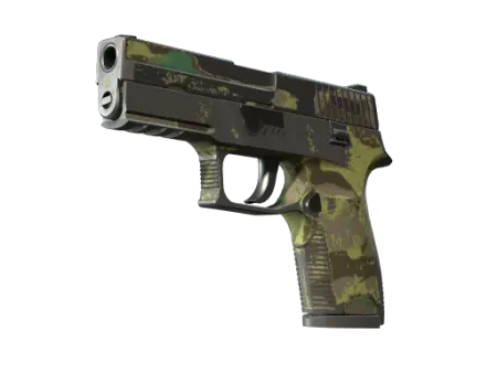 P250 | Boreal Forest (Battle-Scarred)