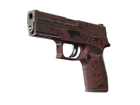 P250 | Contaminant (Field-Tested)